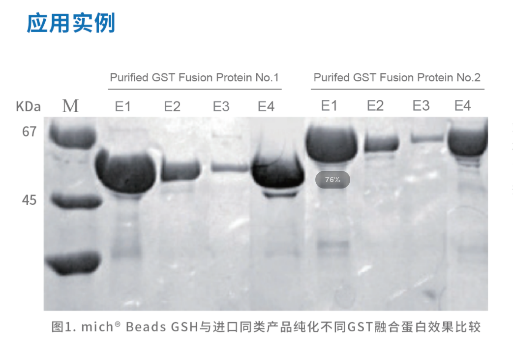 GST應用實例.png